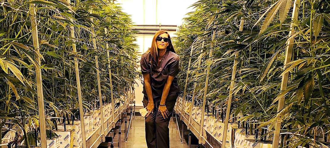 Image for The Importance of Branding in Cannabis and Its Role in Empowering Women